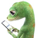 Logo Geico