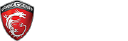 Logo MSI